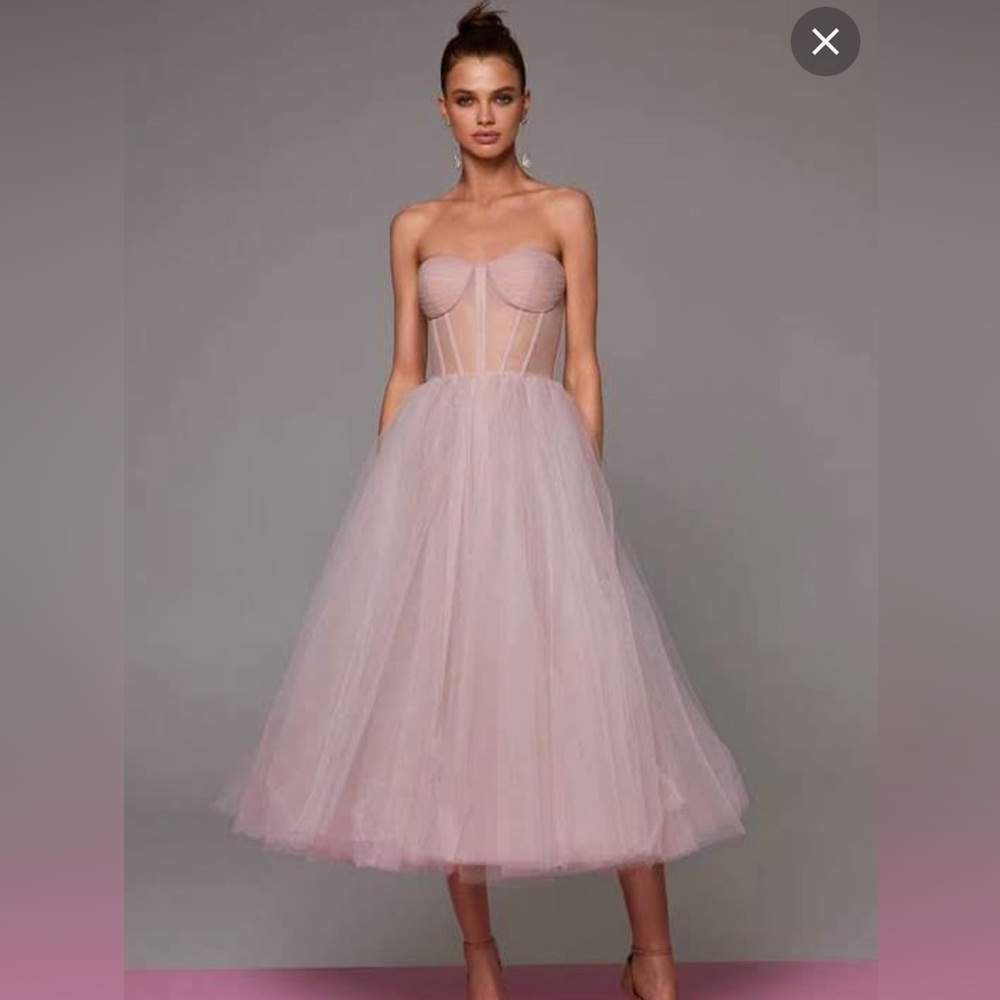 Fit and flare corset pink tulle dress